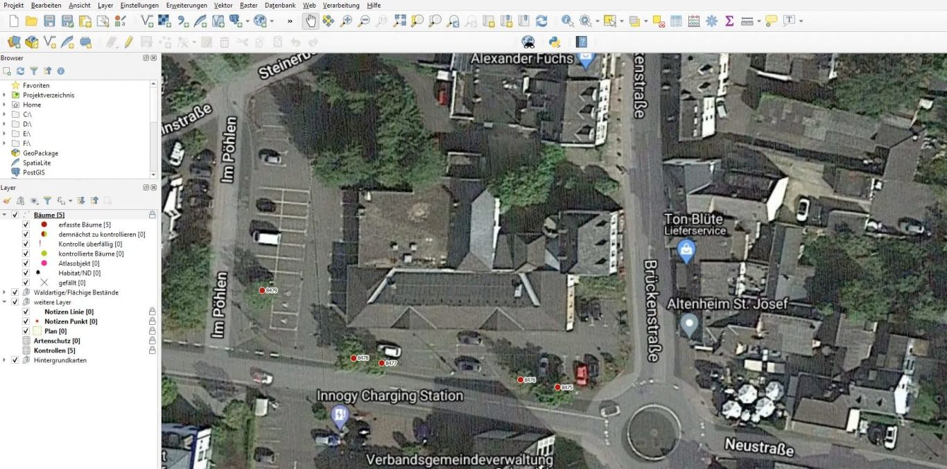 Ansicht der Datenbank eines Baum-Katasters