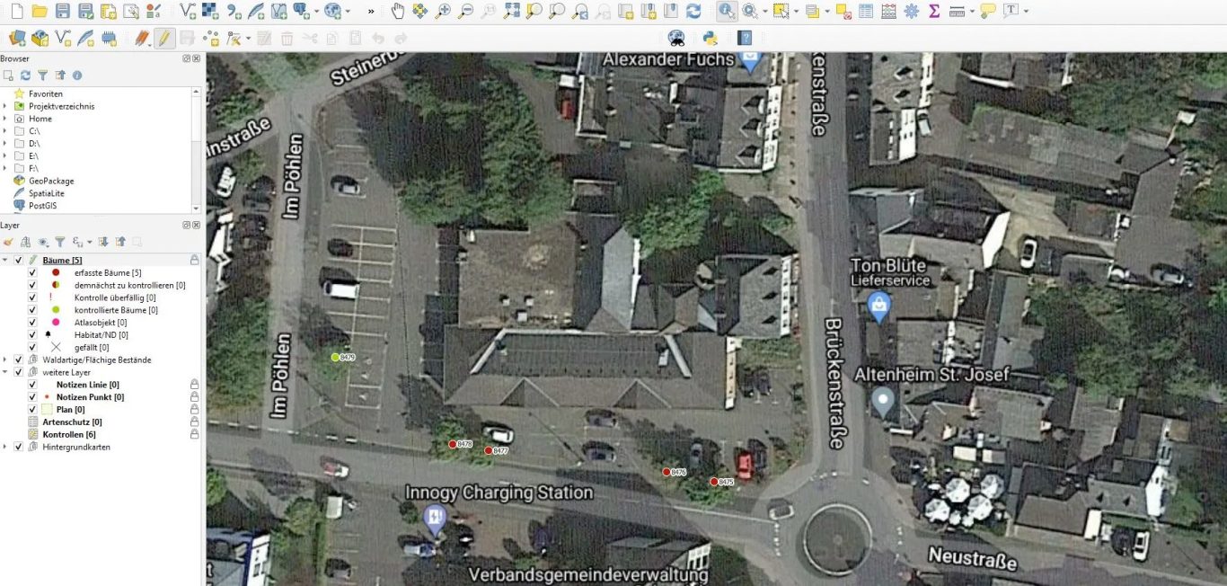 War die Kontrolle erfolgreich, erscheint der kontrollierte Baum im Kataster in grüner Farbe. Nach Ablauf des angegebenen Kontrollintervalls,